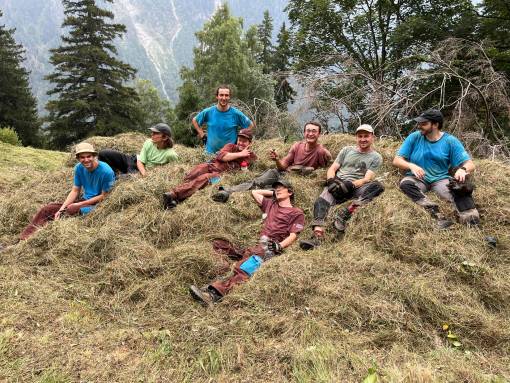 Die Gruppe «Pro Biotop» im Einsatz im Flachmoor 4001 «Garti» in der Lenk (BE). Foto: Michael Vogel