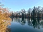 Noch viele Pestizide in Schweizer Gewässern