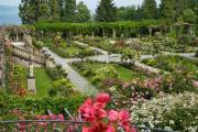Auszeichnung für Italienischen Rosengarten