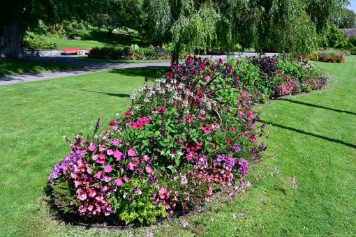 Saskia et Sophie, les horticultrices, Nyon