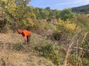 Pro Natura sucht Gärtner für Alpwiesen