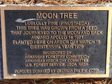 Mondbaumplakette vor dem Gerichtsgebäude ein Sebastian County, Arkansas (USA). (Foto: Wikipedia)