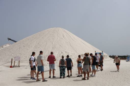 Die Reisegruppe vor einem der grossen Salzberge.