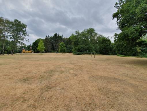 Grosse Trockenheit über einen langen Zeitraum setzt der Natur auch in unseren Breiten immer mehr zu: verdorrte Rasenflächen und Laubfall bereits in den Sommermonaten. Foto: Urs Rüttimann