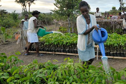 Projekt in Madagaskar (Foto: zVg)