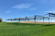 Studie: Agri-PV kann Erträge steigern