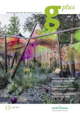 Ausgabe 13