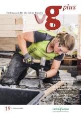 Ausgabe 19