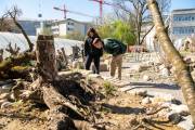 Vernetzte Natur – Lebenswerte Stadt