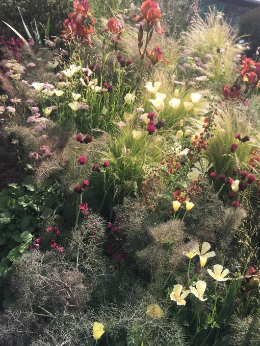 Pflanzen, die nicht von unten nach oben wachsen, sondern von oben nach unten, werden am Giardina-Stand von JardinSuisse ein Hingucker sein. Foto: zVg 