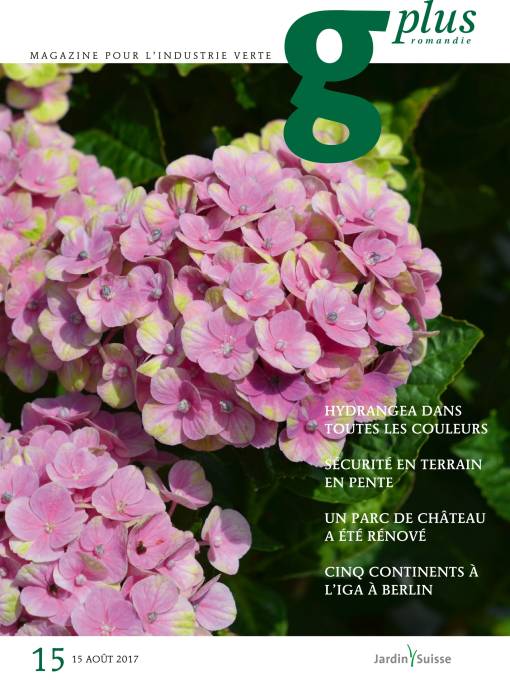 Der Zentralvorstand hat entschieden, dass für die Romandie sechsmal jährlich das Fachmagazin "g´plus romandie" erstellt wird (Symbolbild).