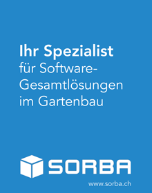 Sorba