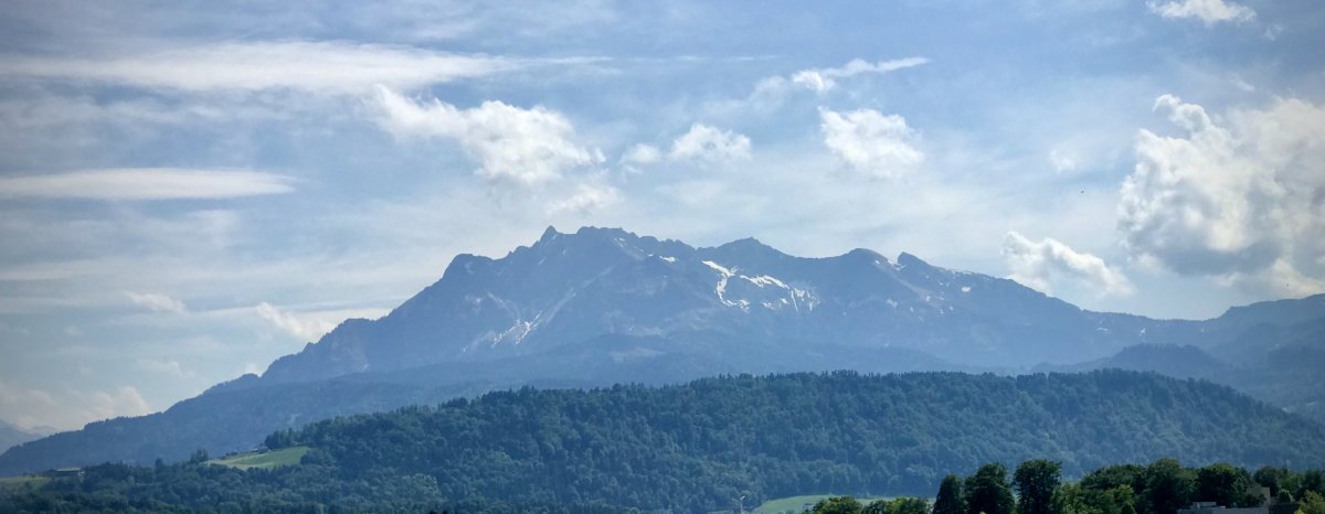 Gärtnerei im Herzen von Emmenbrücke zu verpachten